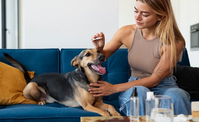 Exploring the Benefits of Canine Probiotic Powder for a Healthy Pup Screenshot 14