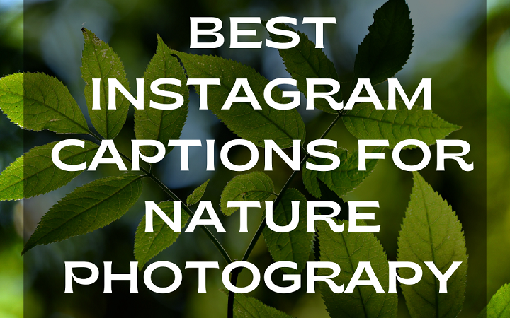 Brother Quotes for Instagram: Celebrating the Unbreakable Bond Brother Quotes for Instagram