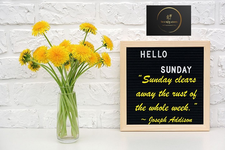 250 Captions for Every Sunday Mood: Let’s Talk Sunday Captions Captions for Every Sunday Mood