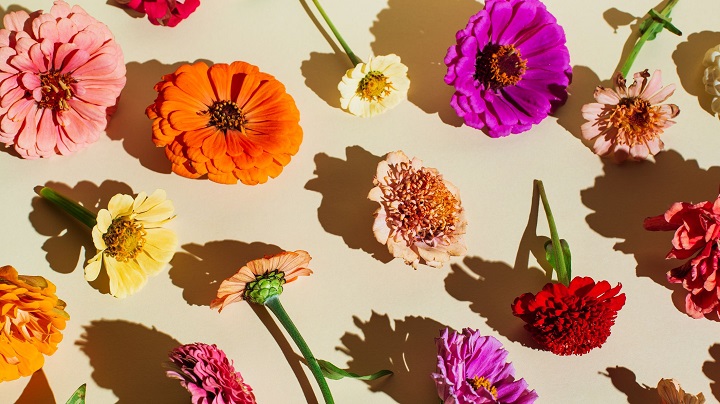 Flower Captions for Instagram: Blooming with Creativity Flower Captions for Instagram
