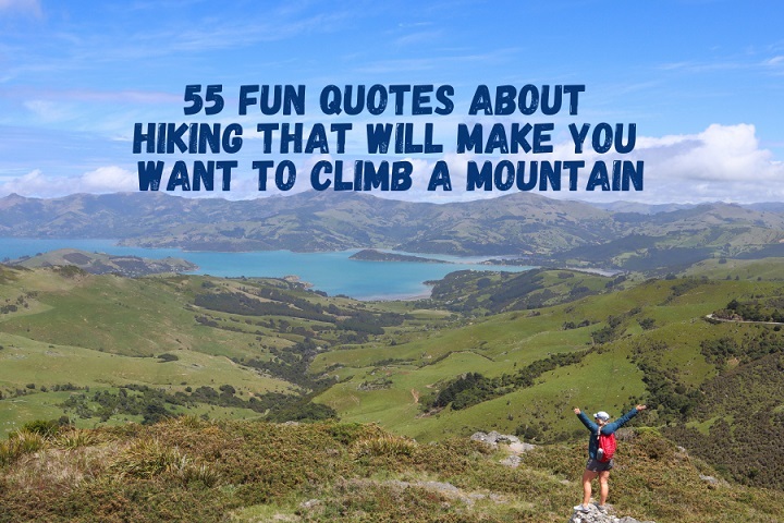 Mountain Quotes Funny: Embracing Life’s Peaks and Valleys Mountain Quotes Funny