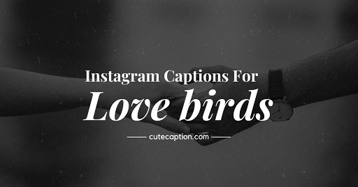 Love Captions for Instagram: Expressing Affection in Pixels love captions for instagram