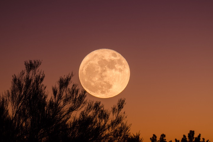 150 Captions on The Moon: A Celestial Symbol of Wonder and Exploration 150 Captions on The Moon A Celestial Symbol of Wonder and