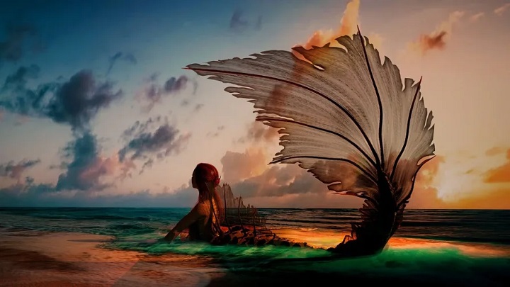 150+ Mermaid Quotes: The Enchantment of the Sea 150 Mermaid Quotes The Enchantment of the Sea 1
