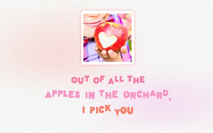 200 Apple Picking Instagram Captions: Joy of Orchard Adventures with Friends Apple Picking Instagram Captions