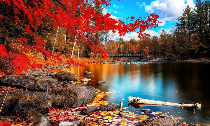 Captions for Fall 2022: Embracing the Beauty of the Season Beauty of the Season