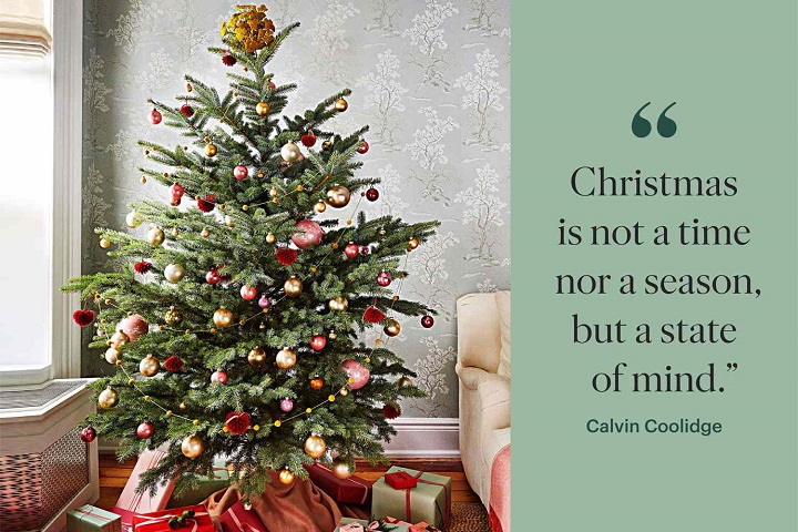 250 Christmas Quotes for Friends: Festive Cheers and Heartfelt Wishes Christmas Quotes