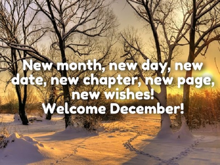150 December 1st Captions: Celebrating the Joy of a New Month December 1st Captions