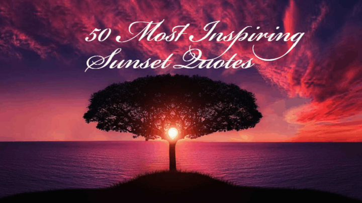 Life and Sunset Quotes: Embracing the Beauty of Every Moment Life and Sunset Quotes