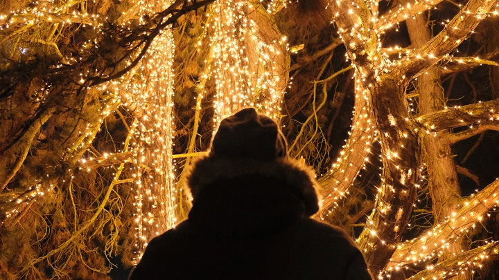 Magic of Christmas Lights: 150 Festive Captions for Your Holiday Season Magic of Christmas Lights