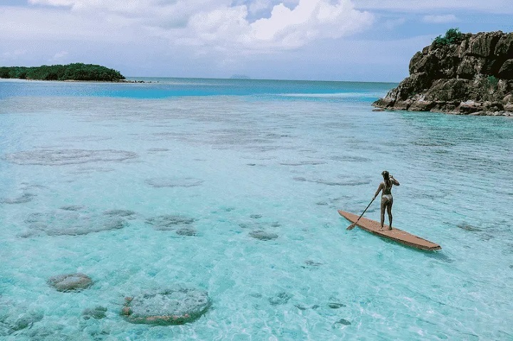 150 Paddle Boarding Quotes to Ignite Your Adventurous Spirit: Embracing the Beauty of the Water Paddle Boarding Quotes