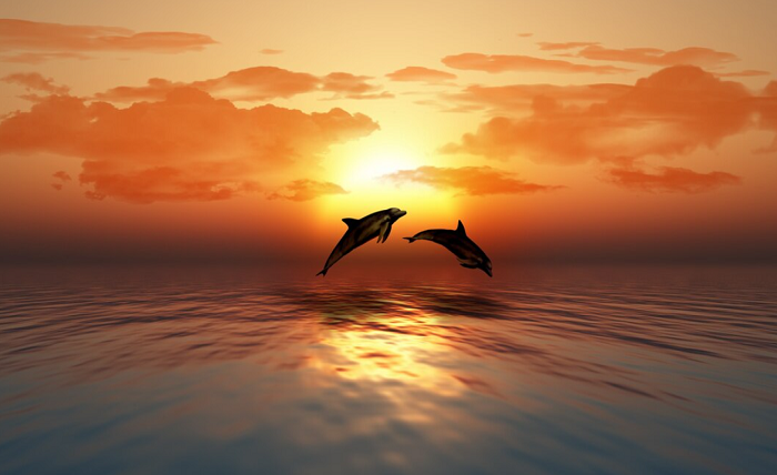 Dolphins at Dawn and Secrets of the North: Bali’s Underrated Haven Screenshot 8 2