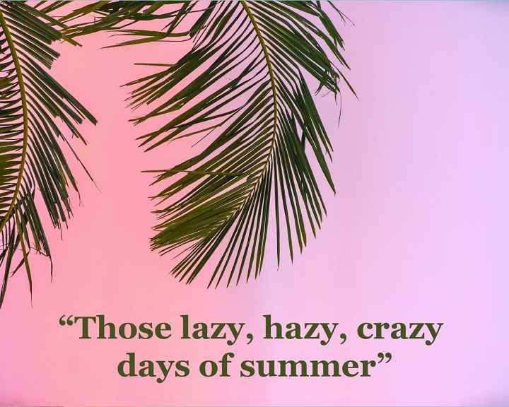 250 Summer Quotes Short to Brighten Your Days Summer Quotes