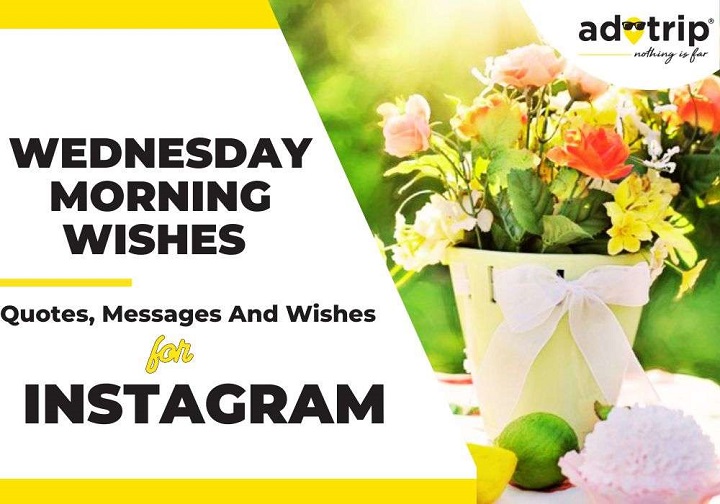 Embracing the Midweek Vibes: 200+ Wednesday Captions Wednesday Captions