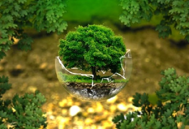 Captivating the Gram with Green Captions: Eco-Friendly Instagram Inspiration Captivating the Gram with Green Captions