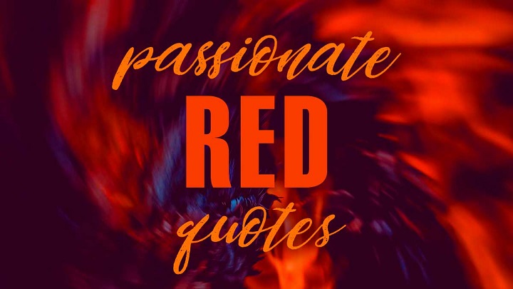 Seeing Red: Captivating Red Color Captions to Ignite Your Instagram Red Color Captions to Ignite Your Instagram