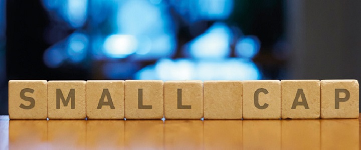 Small Caps Investing: A Powerful Strategy for Long-Term Growth Small Caps Investing