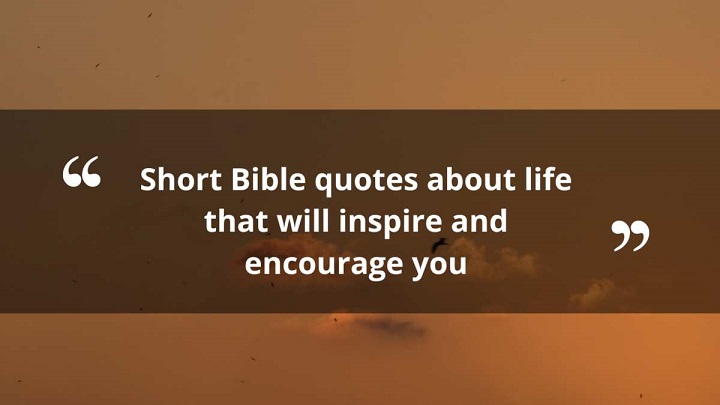 120+ Heartwarming Captions for Your Beloved Wife: Express Your Love in Every Moment 120 Heartwarming Captions