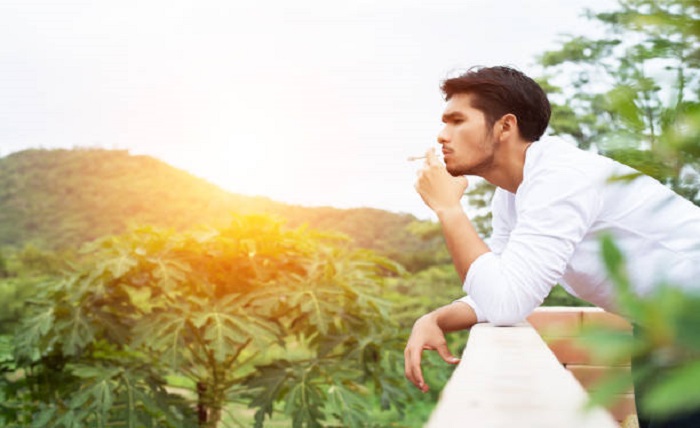 Herbal and Creativity: Can it Spark Inspiration or Impede Productivity? Can it Spark Inspiration or Impede Productivity