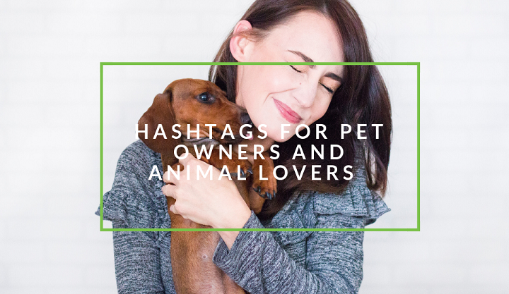 Unleashing 200+ Dog Hashtags for Pet Lovers on Instagram Dog Hashtags for Pet Lovers
