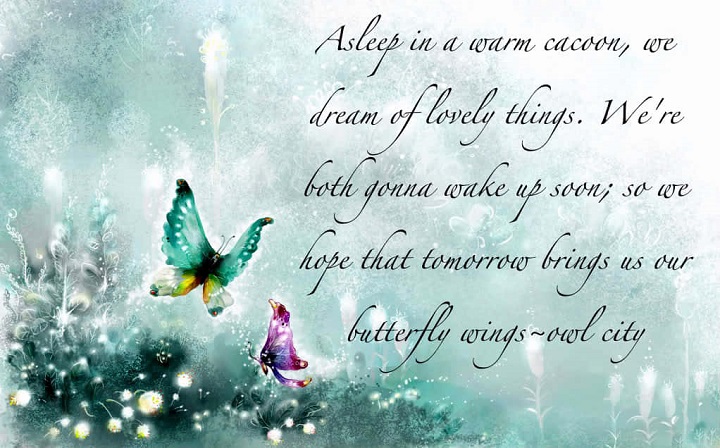 Fluttering Beauty: 50 Charming Butterfly Quotes to Brighten Your Day butterfly quotes