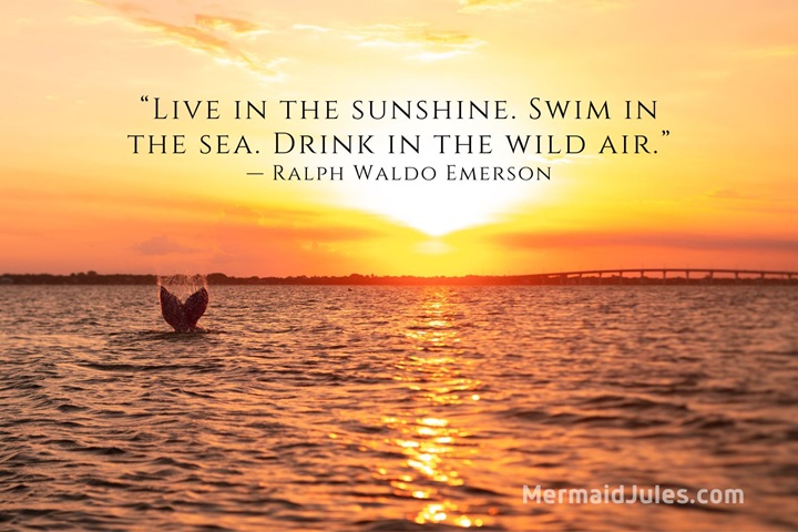 Sunshine Quotes for Instagram: Brighten Your Day and Feed live in the sunshine swim sea drink wild air quotes
