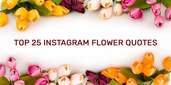 Blooming Beauties: 50 Instagram Flower Quotes to Add Fragrance to Your Feed top 25 instagram flower quotes