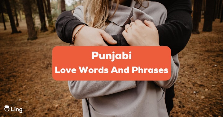 Captions for Instagram Posts in Punjabi: 100 Expressive Quotes for Your Feed caption for instagram post in punjabi