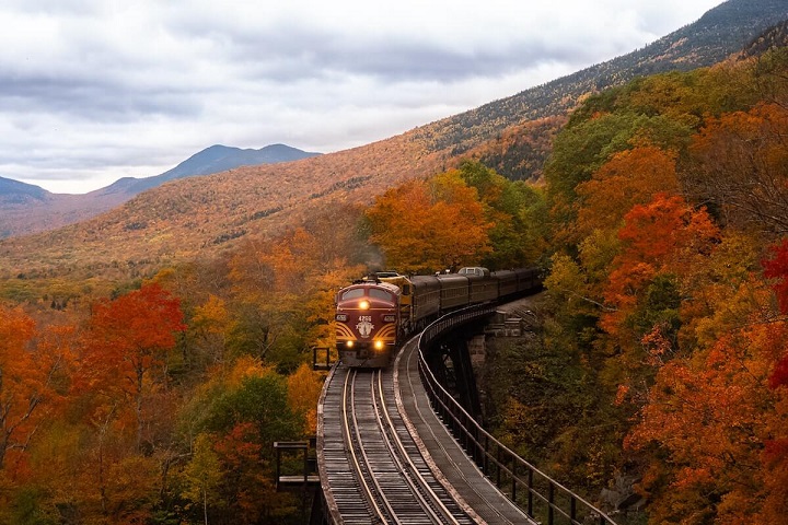 All Aboard: Captivating Train Journey Captions to Elevate Your Travel Posts train traveling through autumn landscape unsplash balazs busznyak 120222