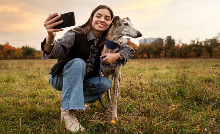 Unleash the Magic of Dog Photography for Instagram Glory greyhound dog enjoying his walk 52683 102226
